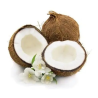 Frugtpasta - Cocco