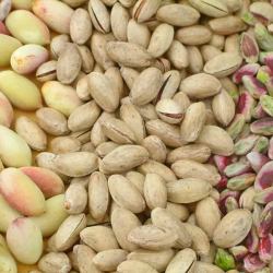 pistacchio sicilia