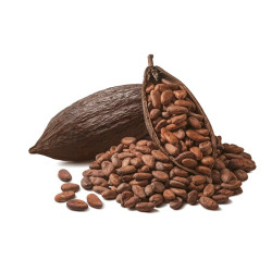 Cacao excellence