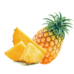 Frugtpasta - Ananas